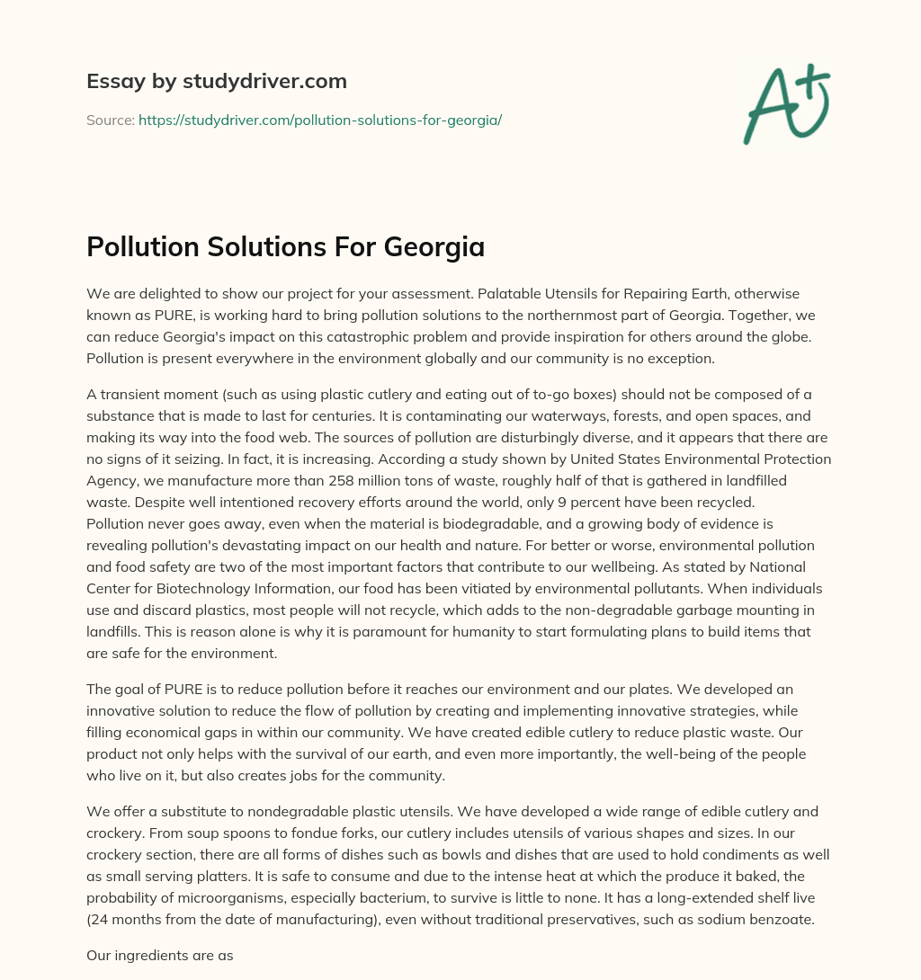 Pollution Solutions for Georgia essay
