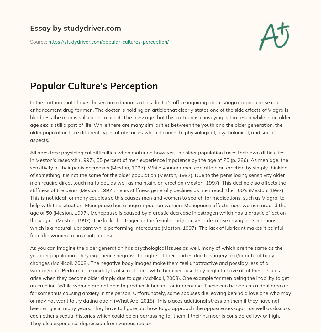 Popular Culture’s Perception essay