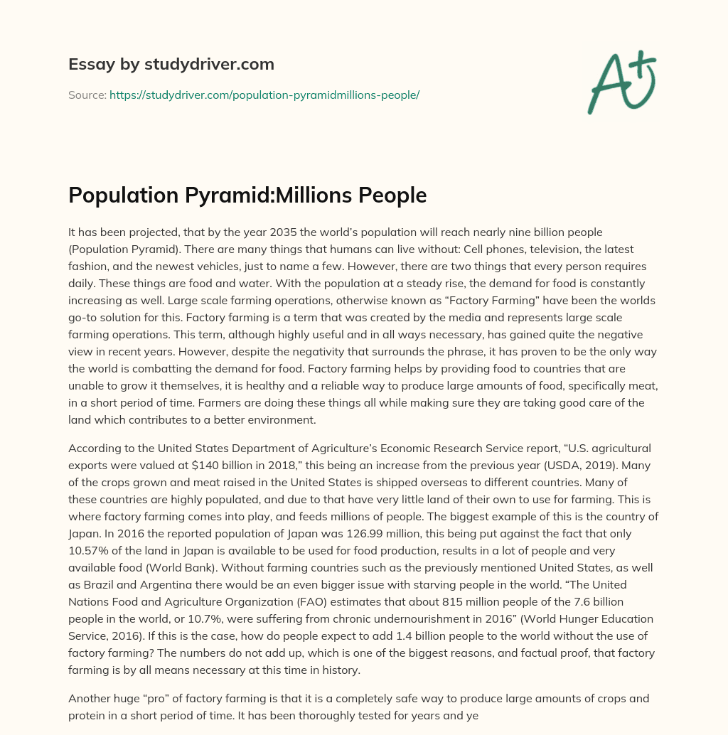 Population Pyramid:Millions People essay