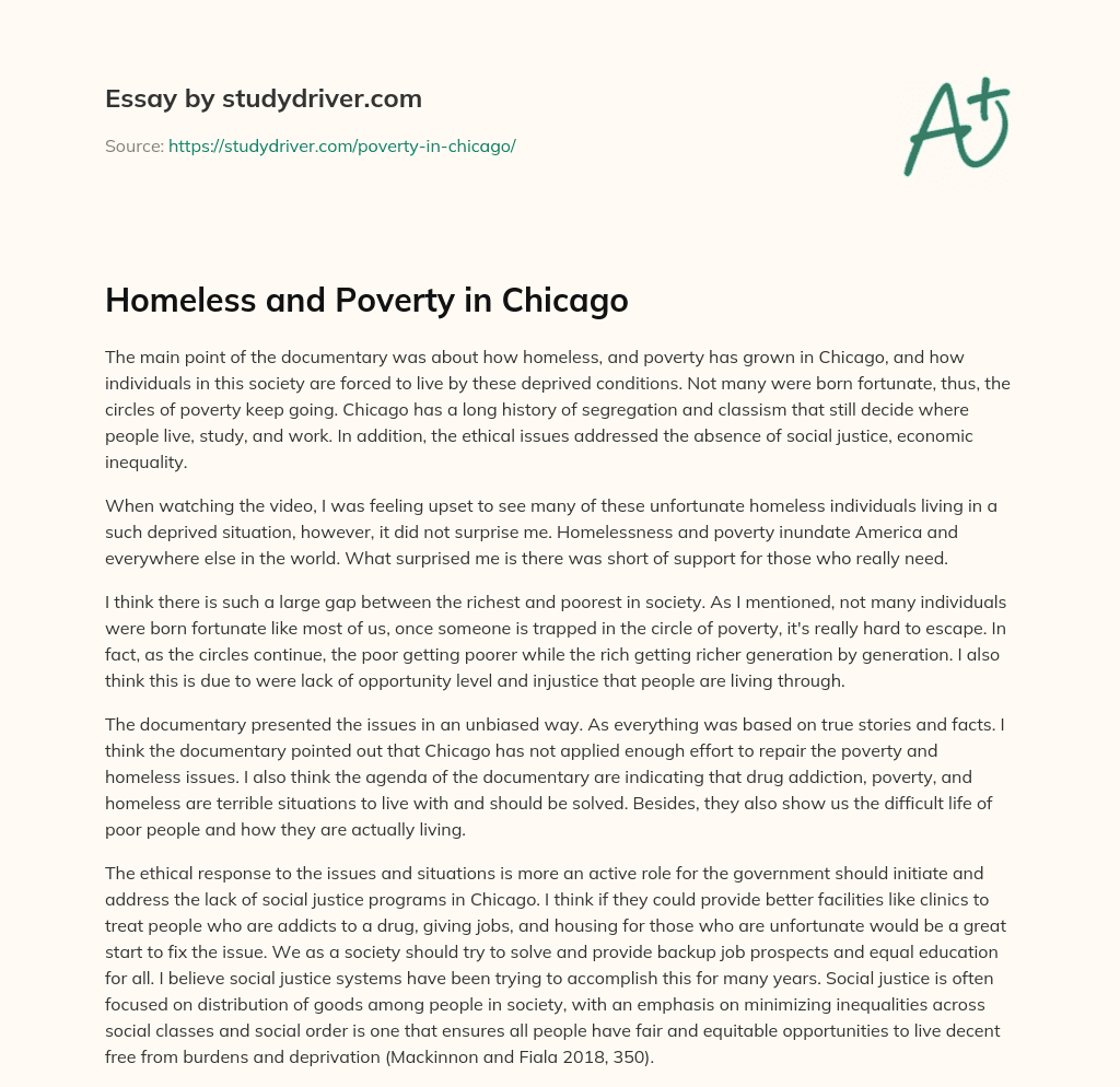 Homeless and Poverty in Chicago essay