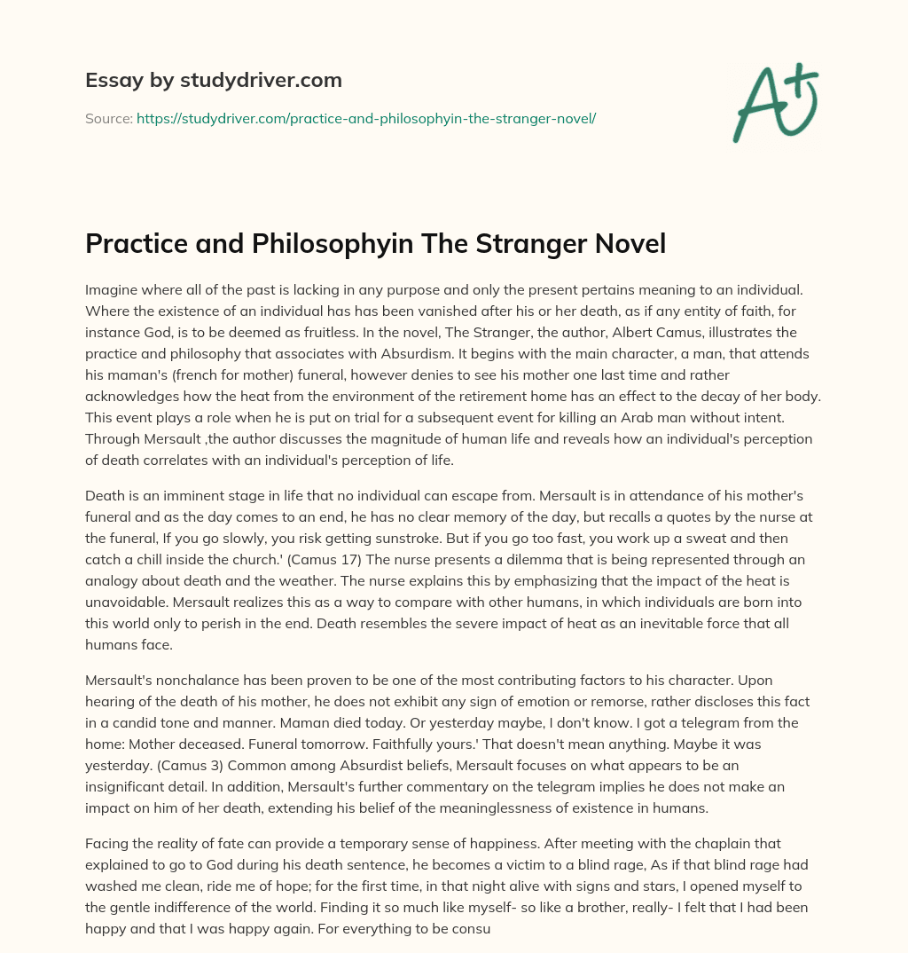 Practice and Philosophyin the Stranger Novel essay