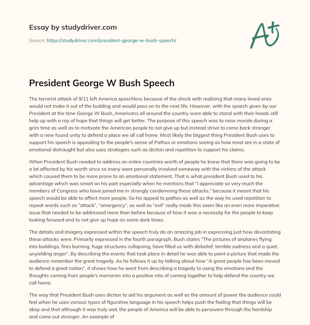 President George W Bush Speech essay
