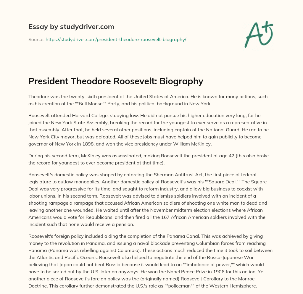President Theodore Roosevelt: Biography essay