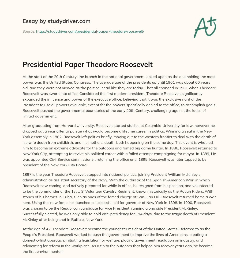 Presidential Paper Theodore Roosevelt essay