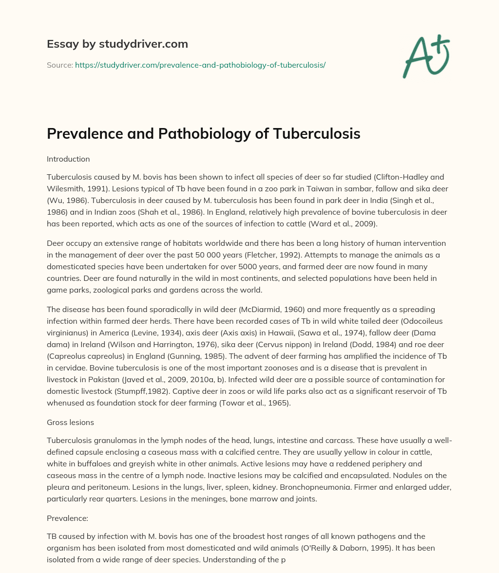 Prevalence and Pathobiology of Tuberculosis essay