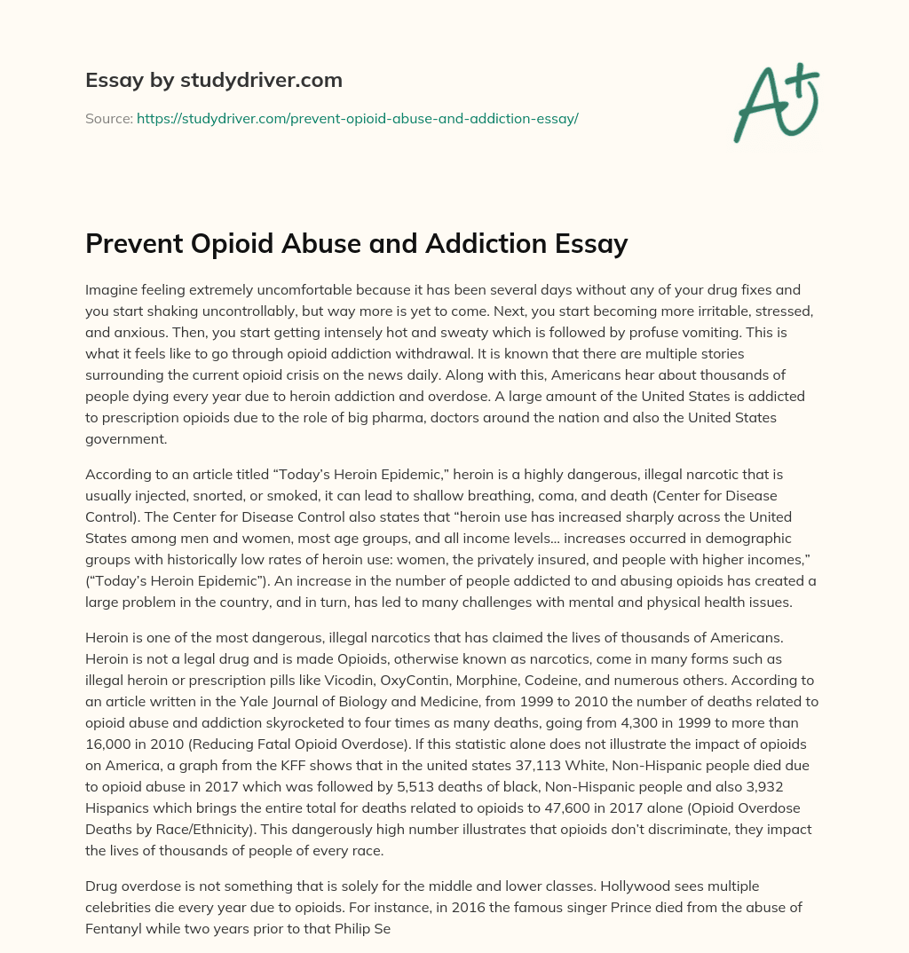 Prevent Opioid Abuse and Addiction Essay essay