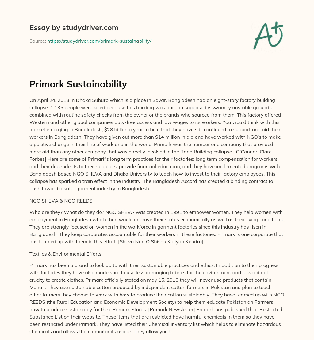 Primark Sustainability essay