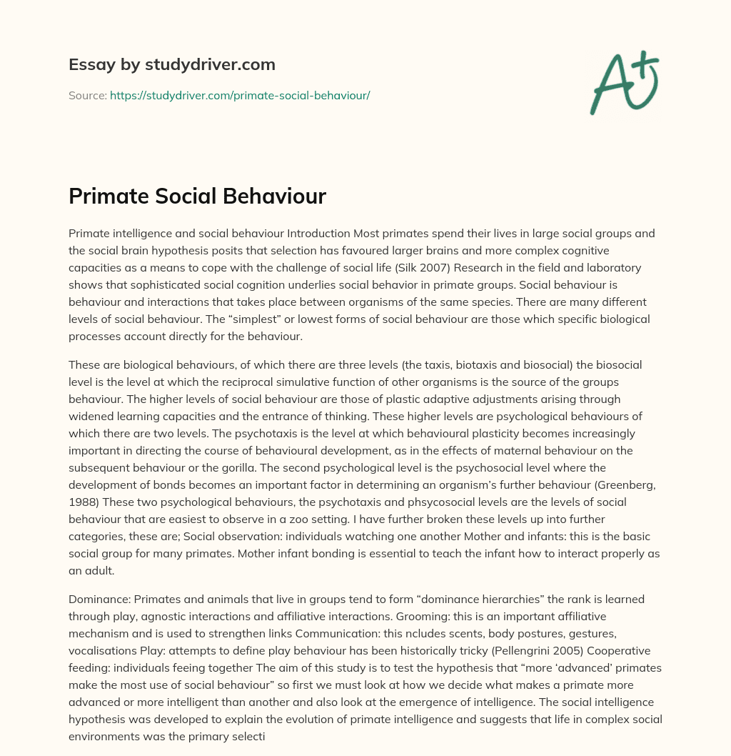 Primate Social Behaviour essay