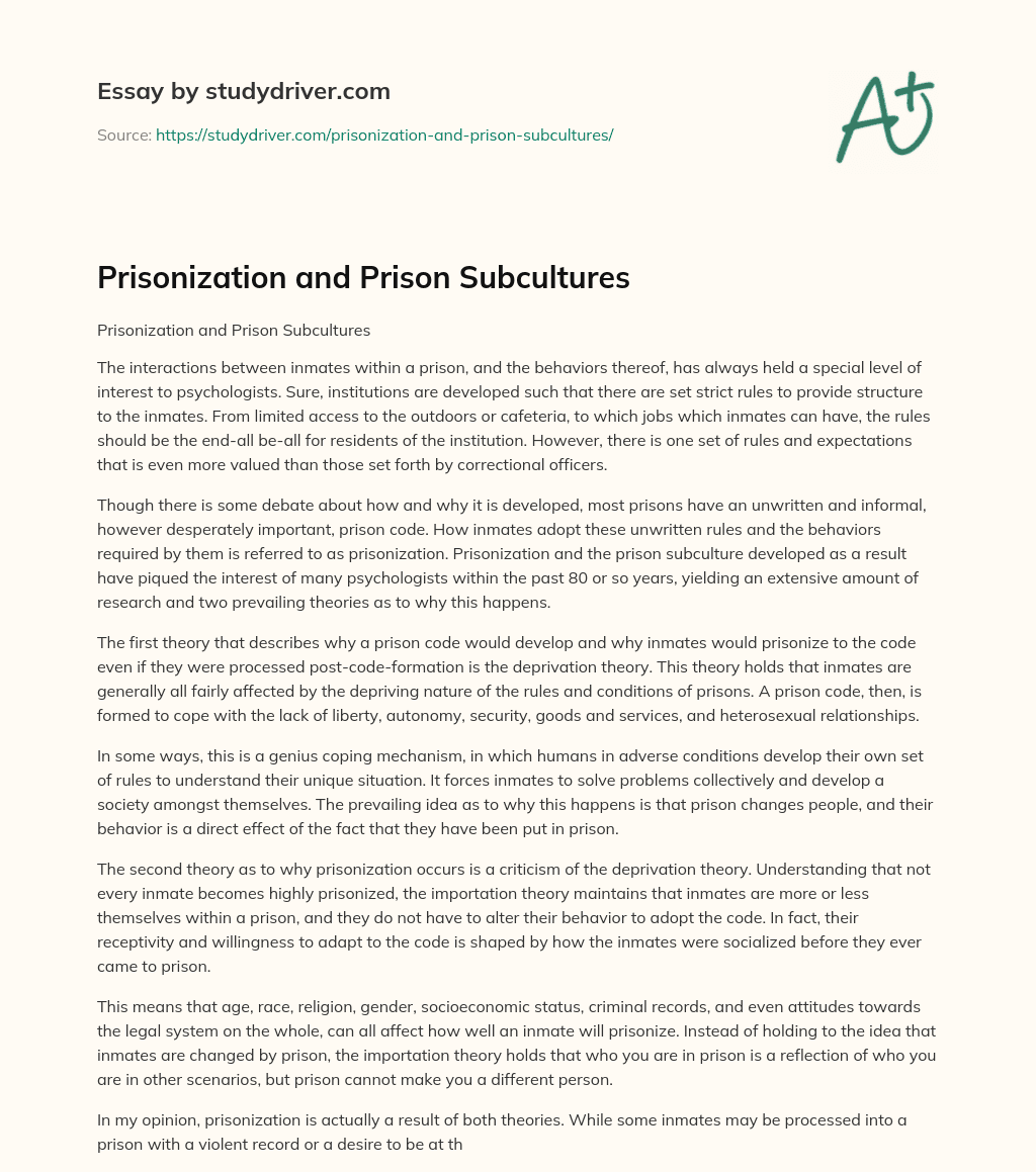 Prisonization and Prison Subcultures essay