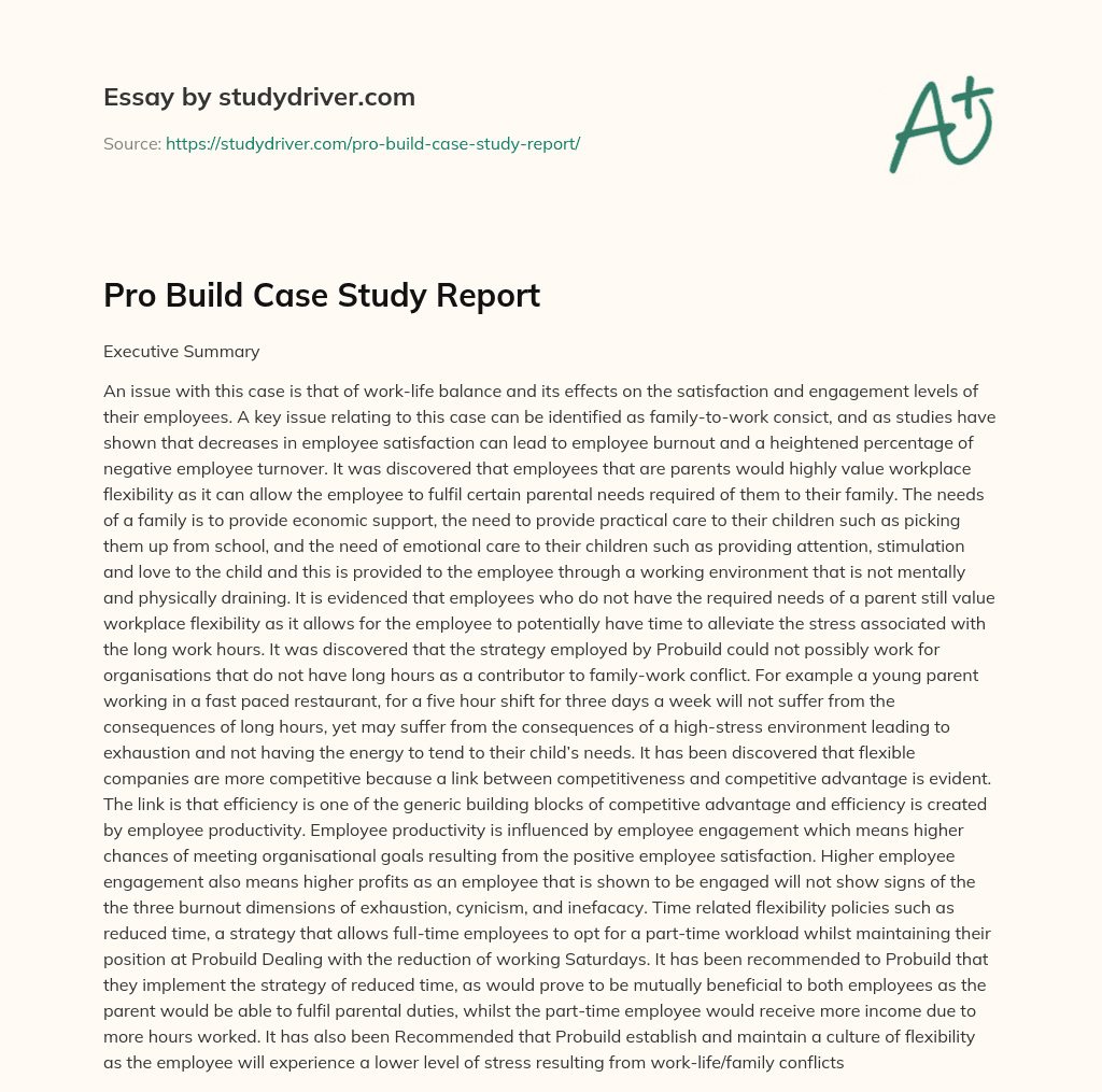 Pro Build Case Study Report essay