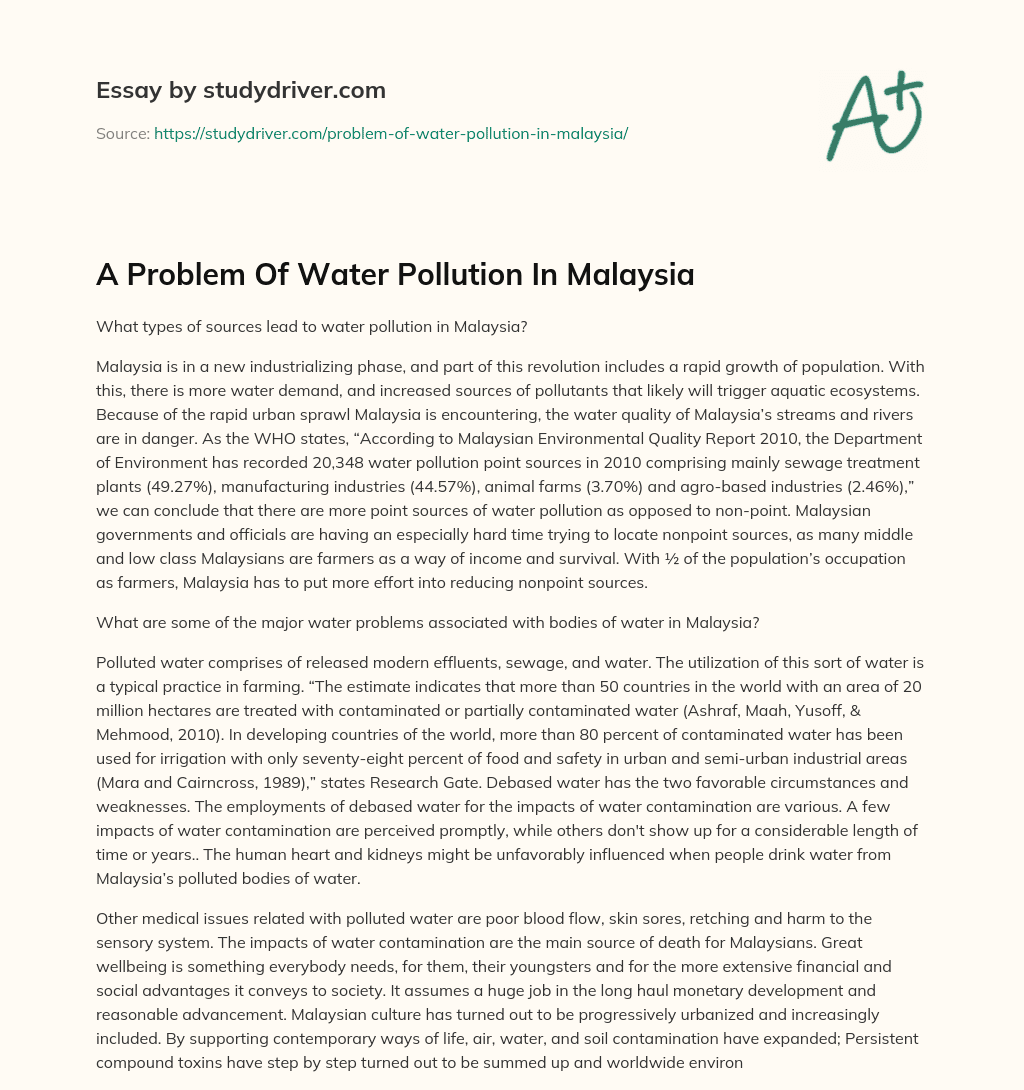 A Problem of Water Pollution in Malaysia essay
