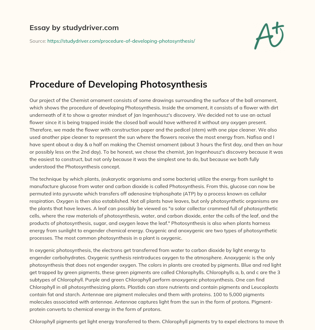 Procedure of Developing Photosynthesis essay