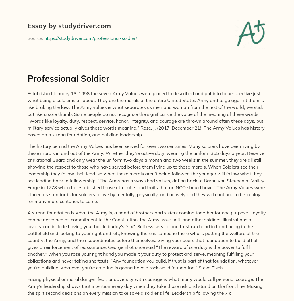 Professional Soldier essay