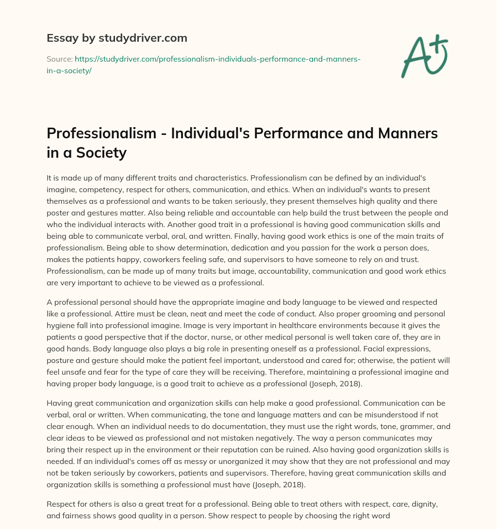 Professionalism – Individual’s Performance and Manners in a Society essay