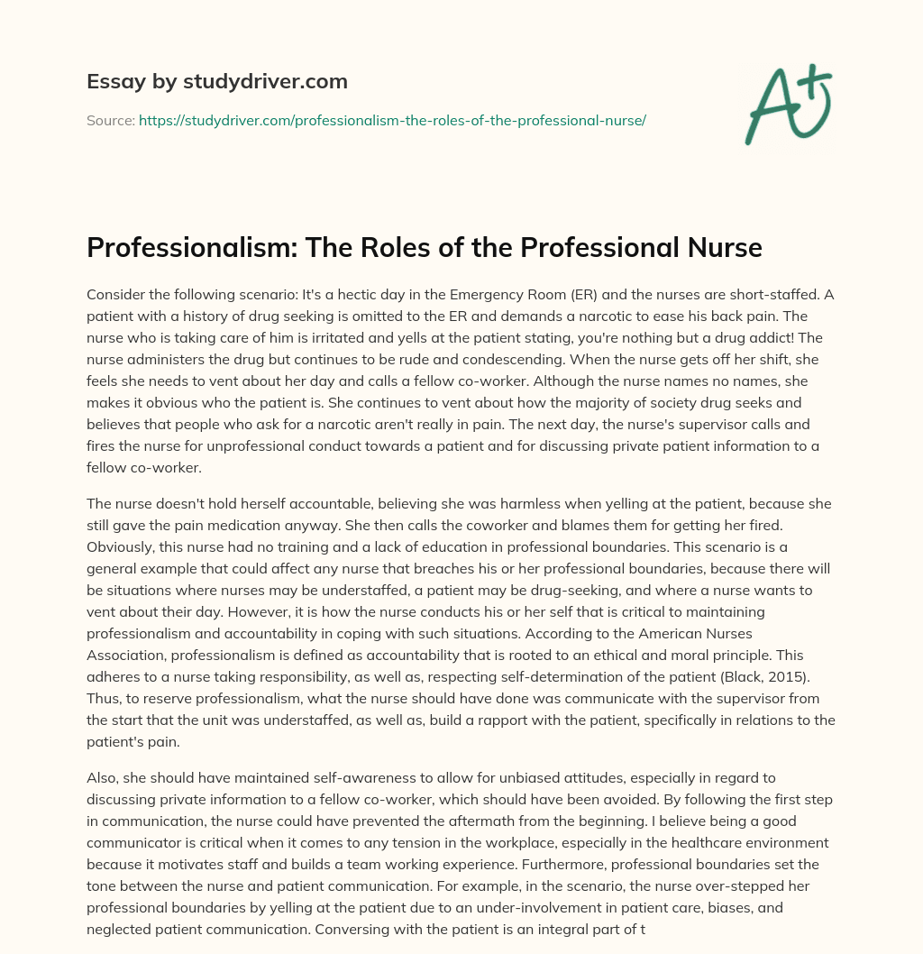 Professionalism: the Roles of the Professional Nurse essay