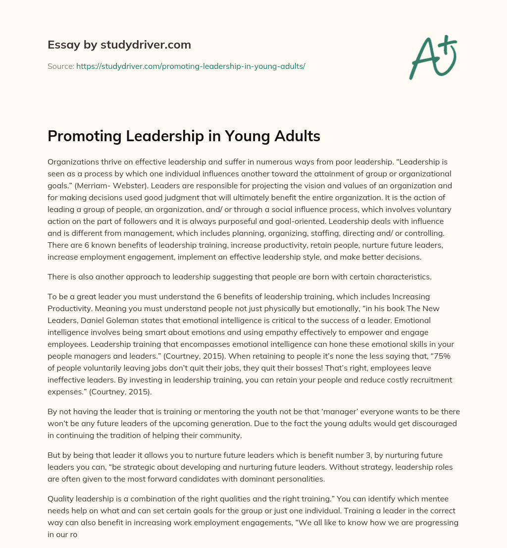 Promoting Leadership in Young Adults essay