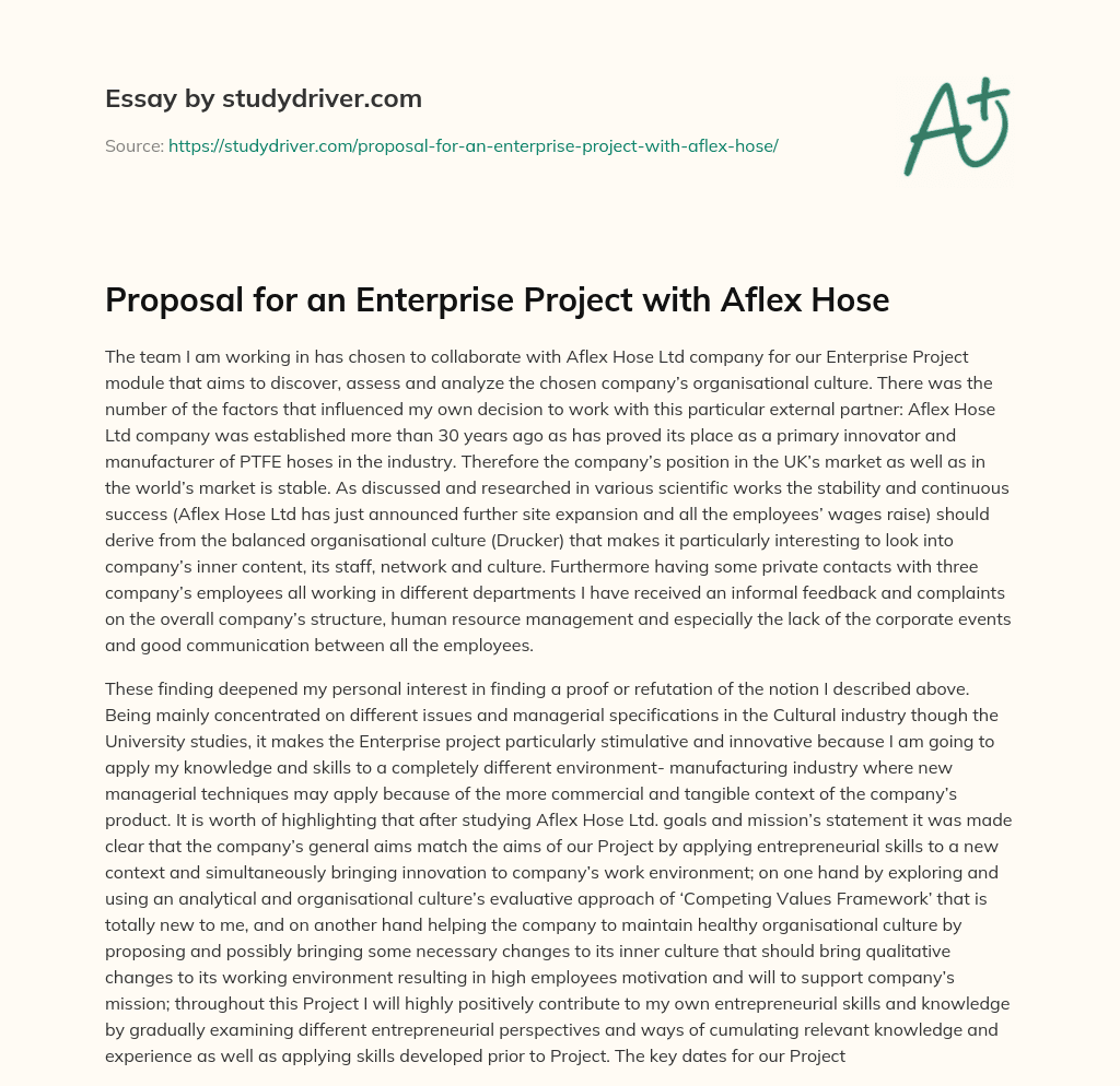 Proposal for an Enterprise Project with Aflex Hose essay