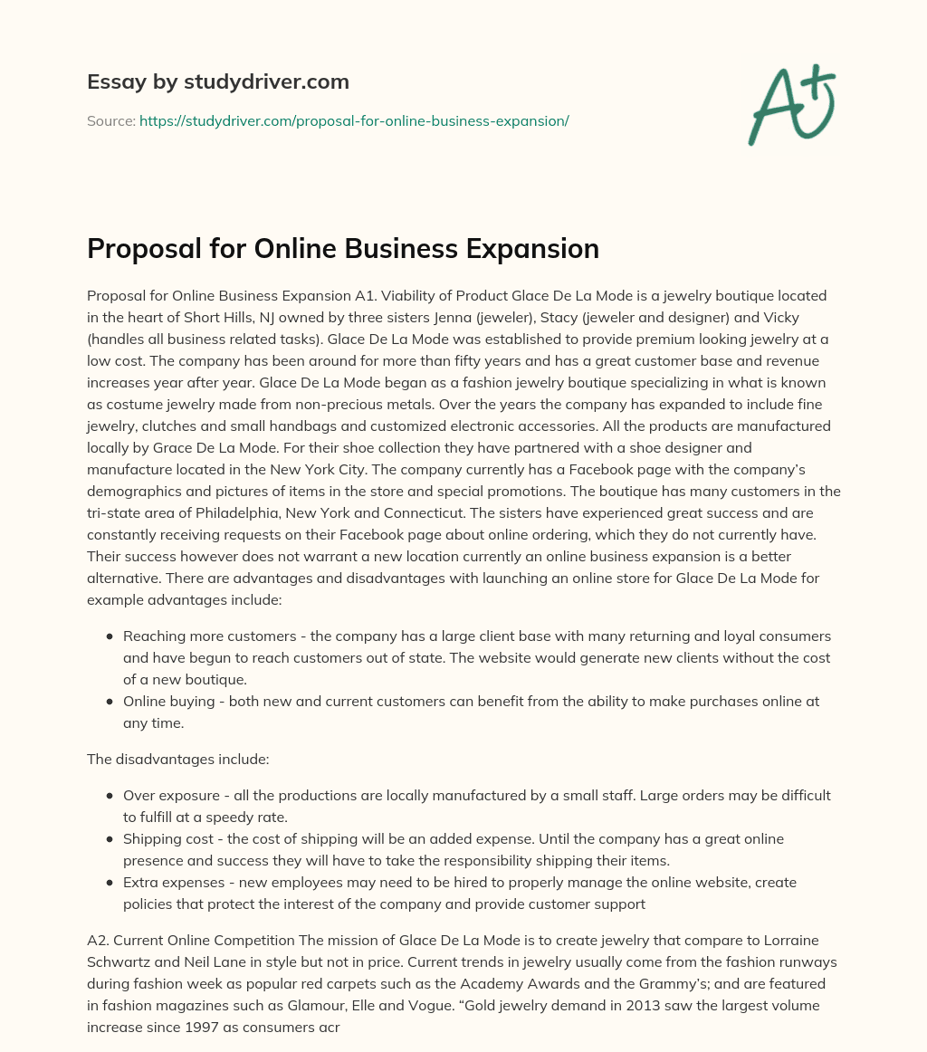 Proposal for Online Business Expansion essay