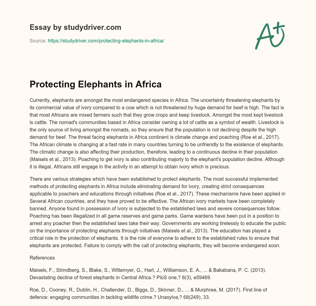 Protecting Elephants in Africa essay