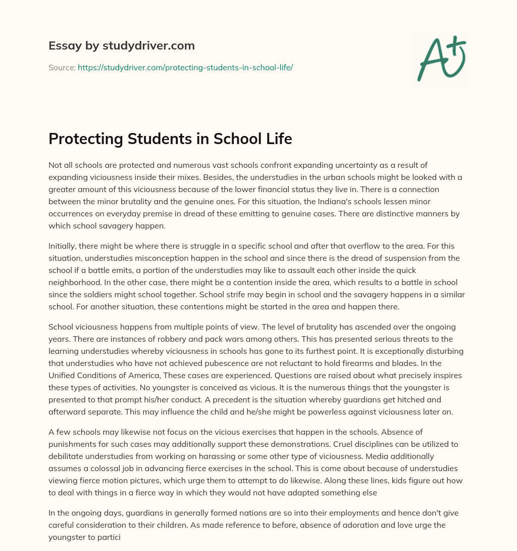 Protecting Students in School Life essay