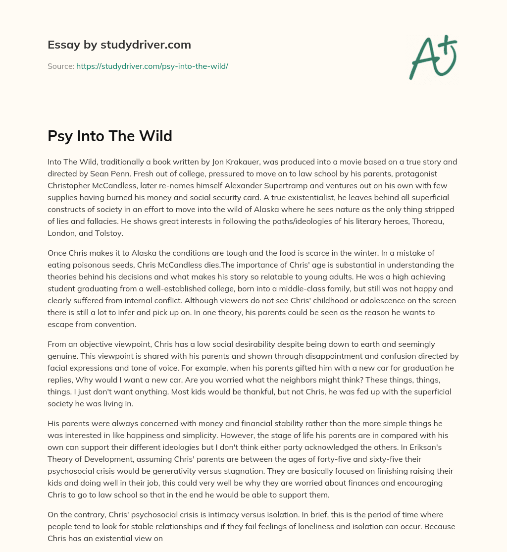 Psy into the Wild essay