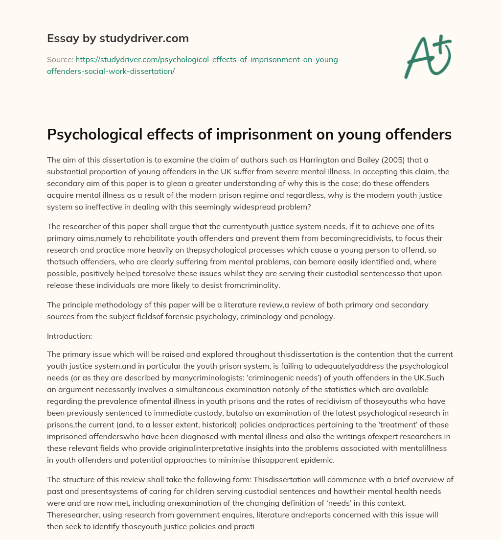 Psychological Effects of Imprisonment on Young Offenders essay