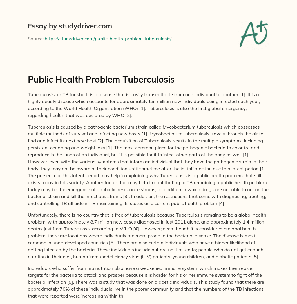 Public Health Problem Tuberculosis essay