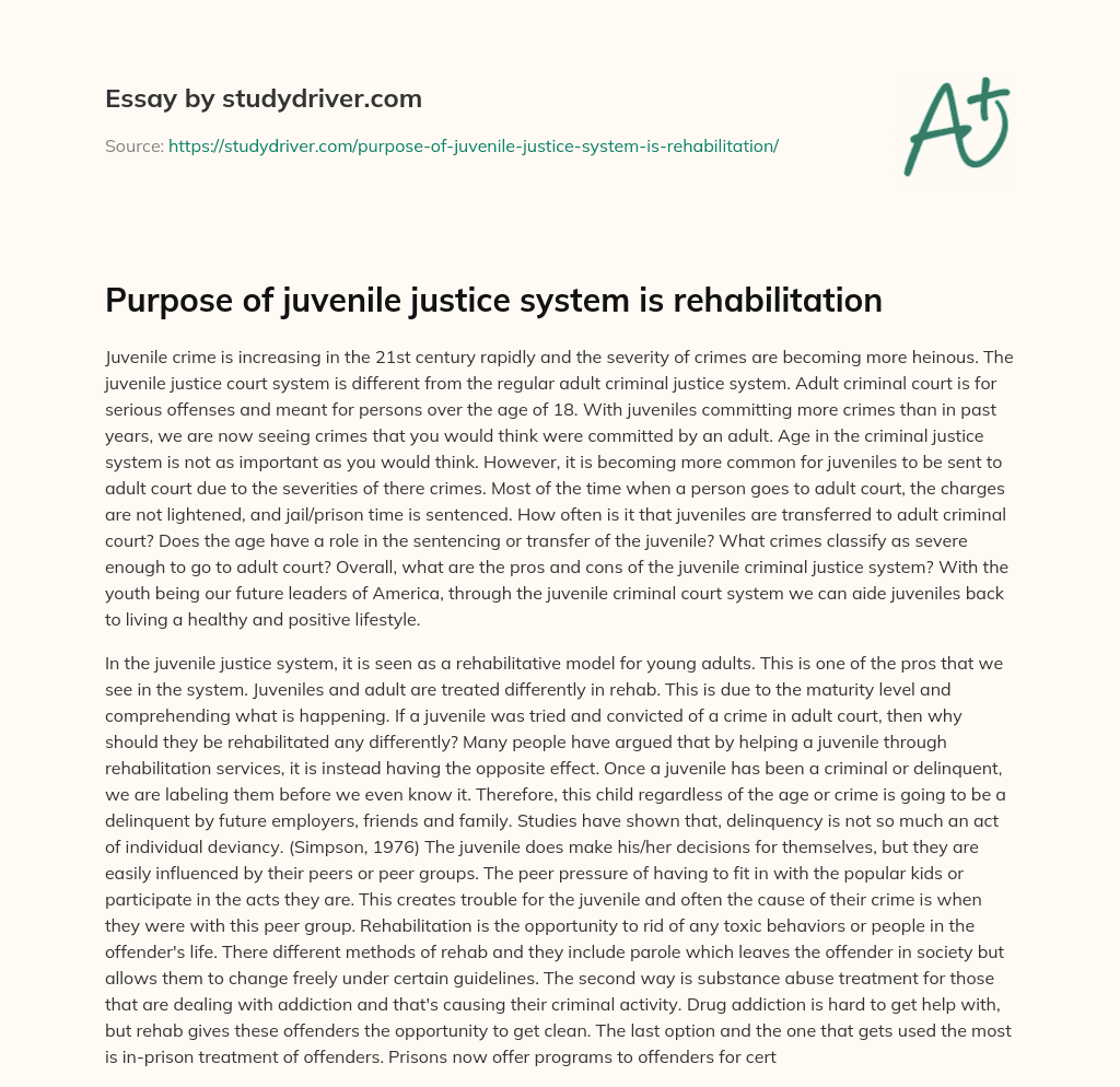 Purpose of Juvenile Justice System is Rehabilitation essay