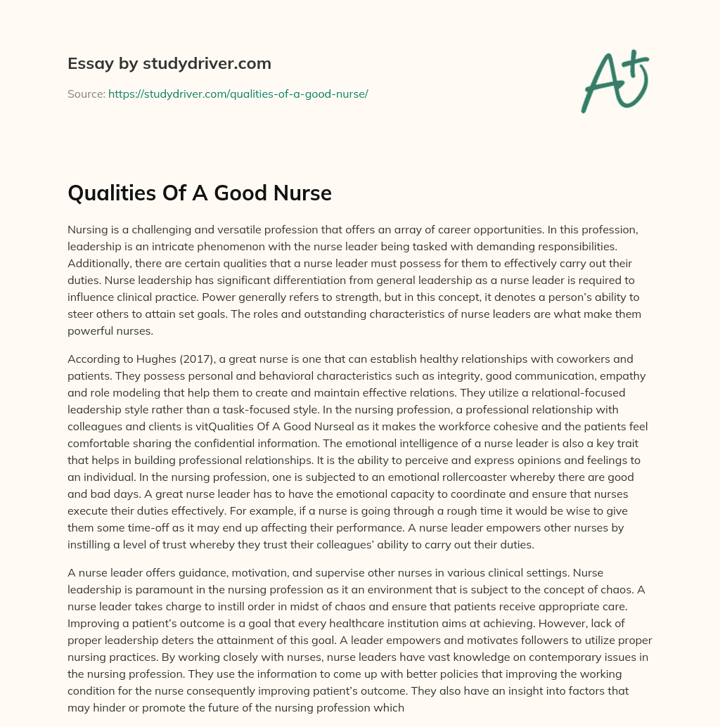 Qualities of a Good Nurse essay