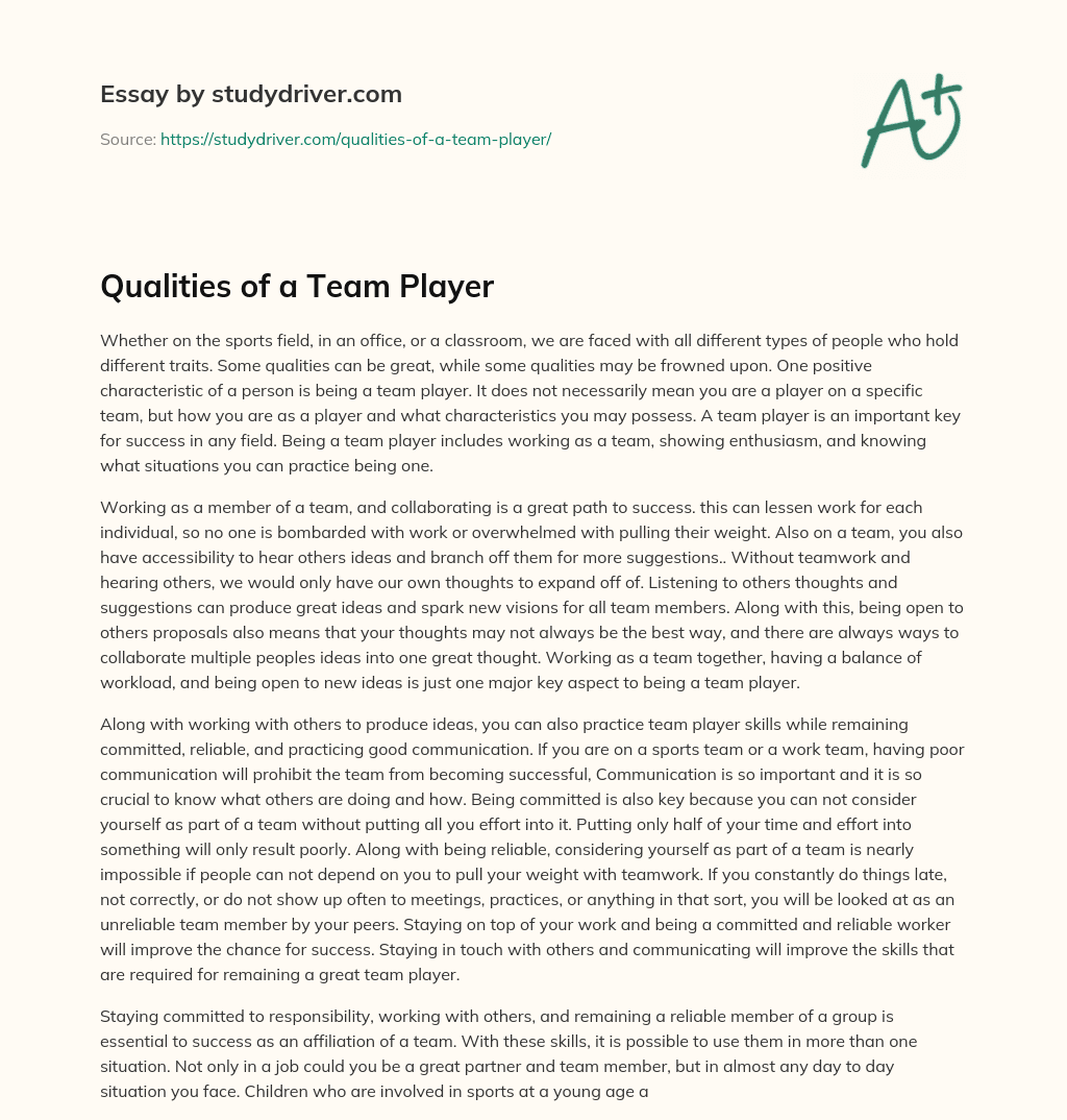 Qualities of a Team Player essay