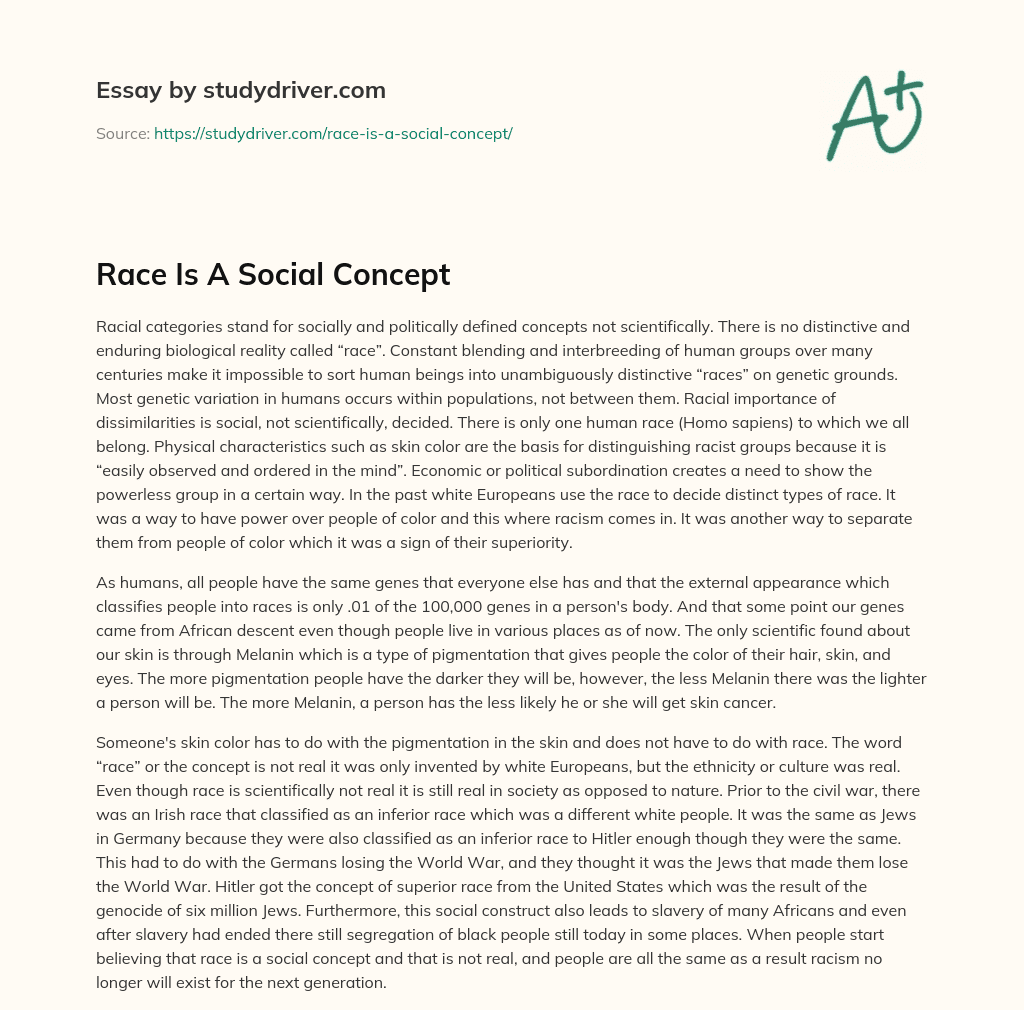 Race is a Social Concept essay