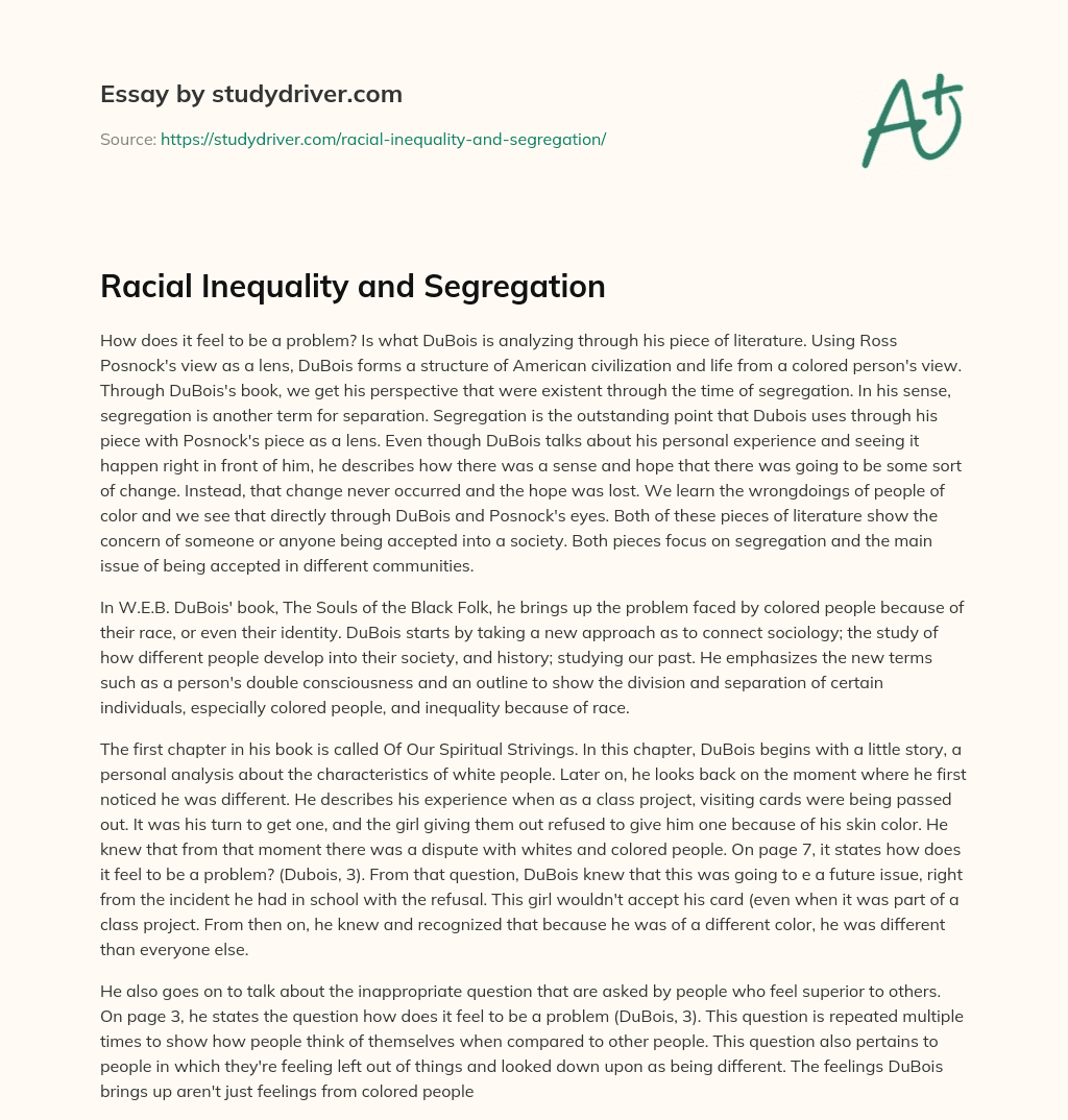 Racial Inequality and Segregation essay
