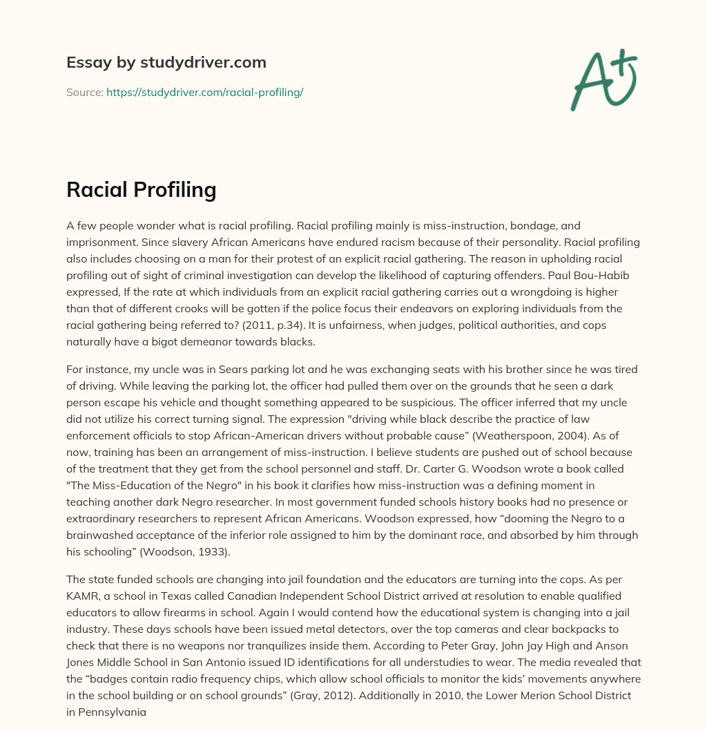 Racial Profiling essay