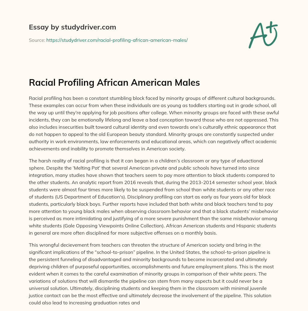 Racial Profiling African American Males essay