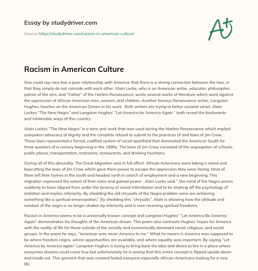 Racism in American Culture essay