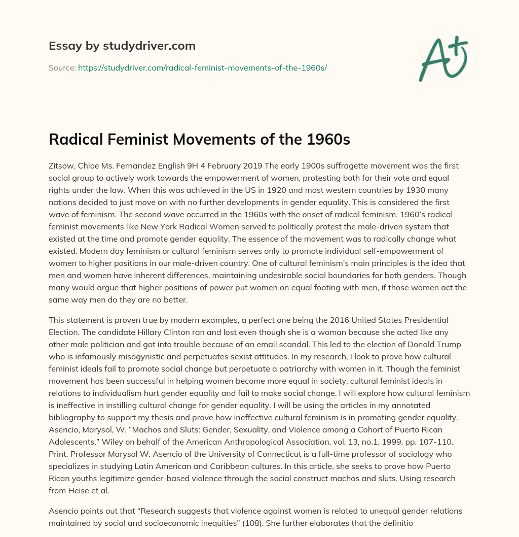Radical Feminist Movements of the 1960s essay