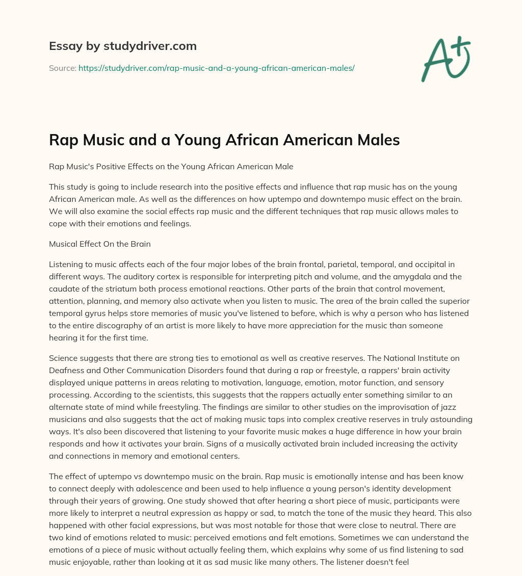 Rap Music and a Young African American Males essay