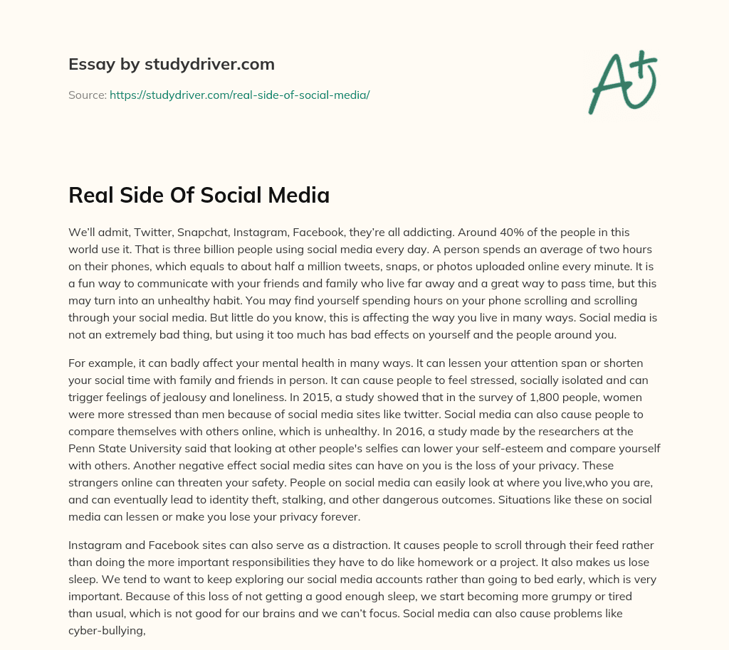 Real Side of Social Media essay