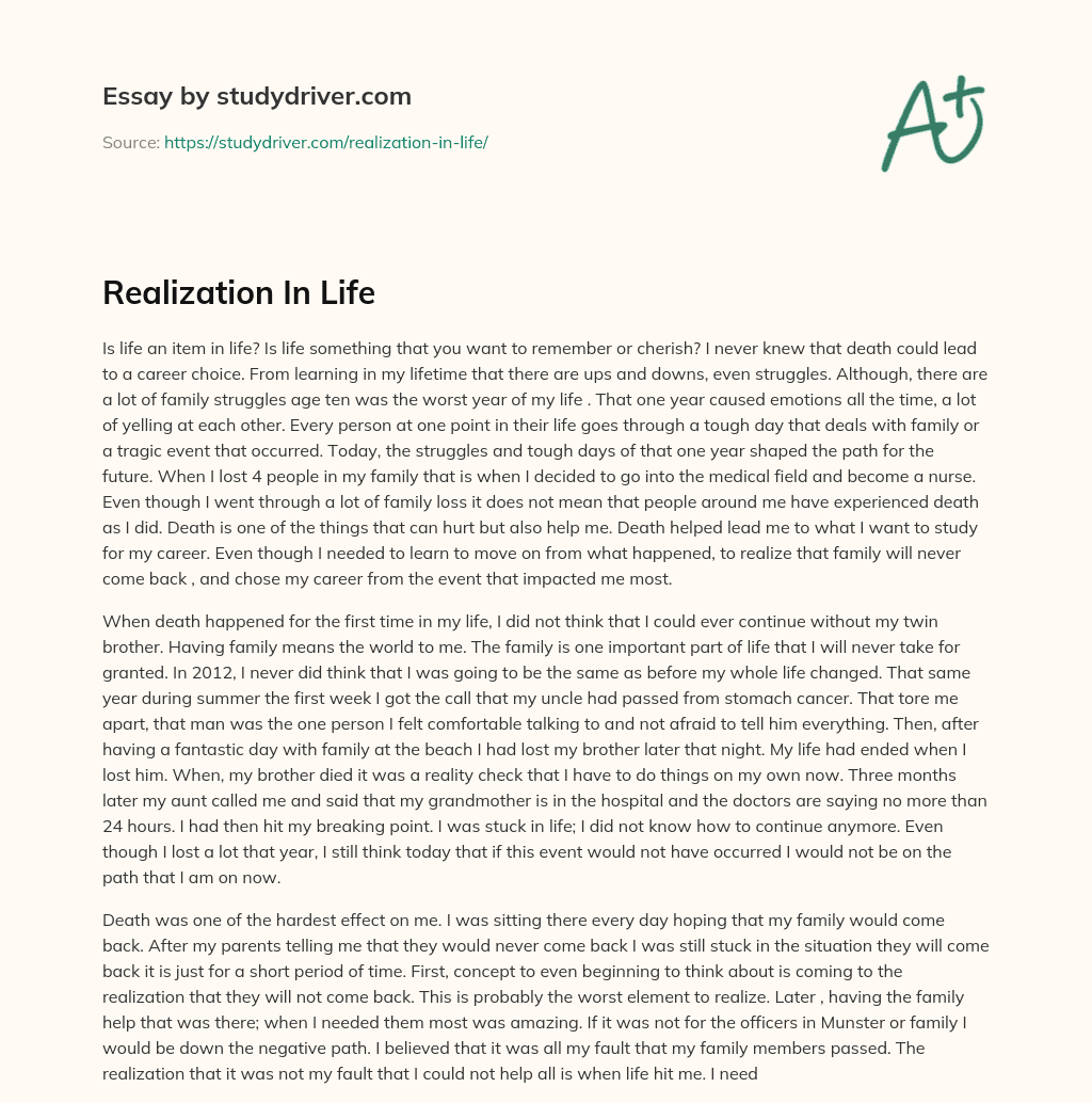 Realization in Life essay