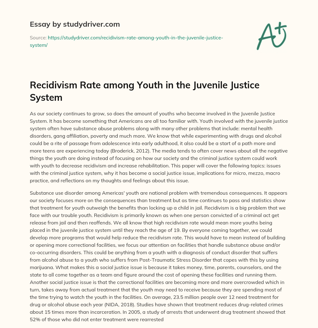 Recidivism Rate Among Youth in the Juvenile Justice System essay