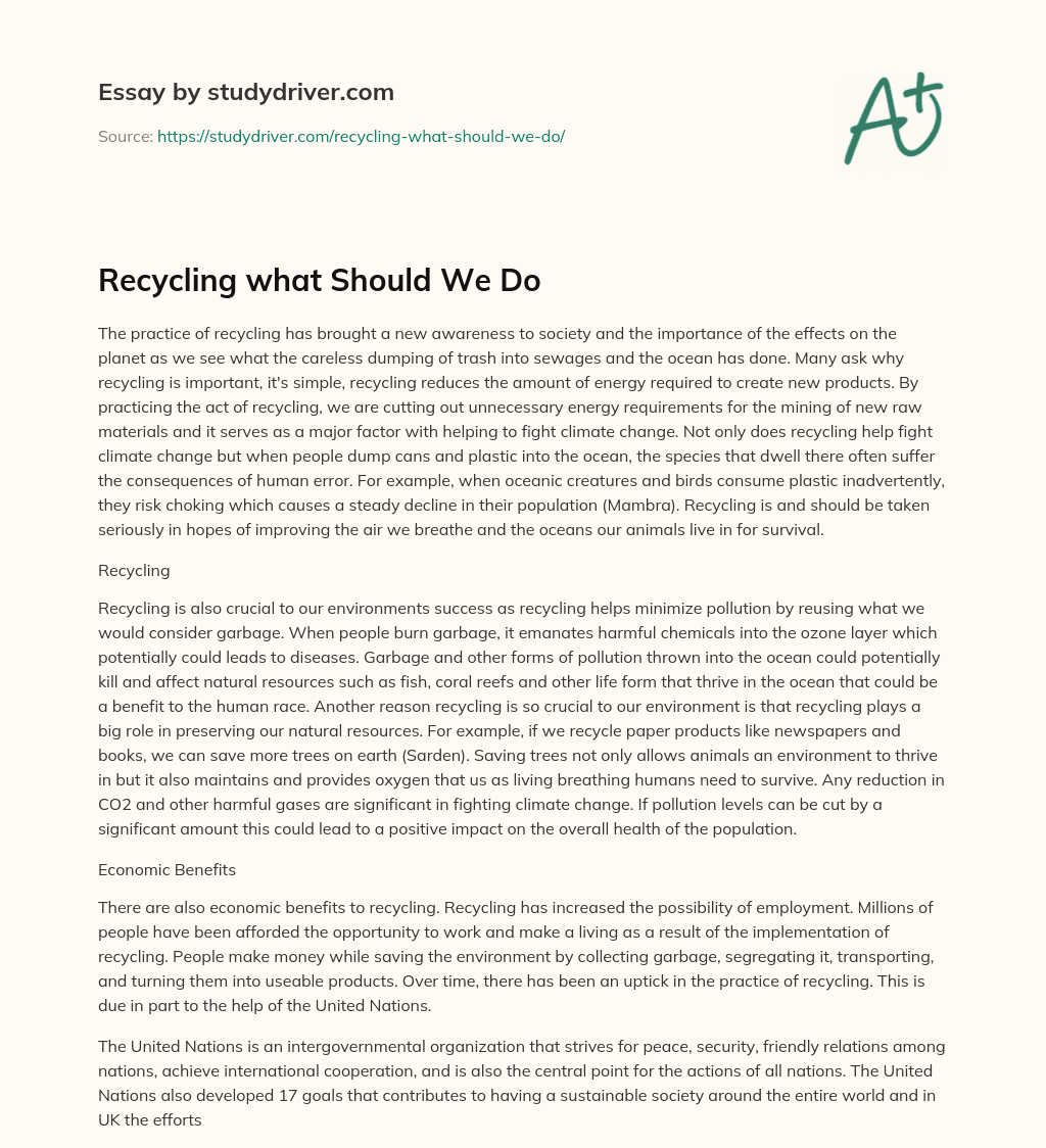 Recycling what should we do essay