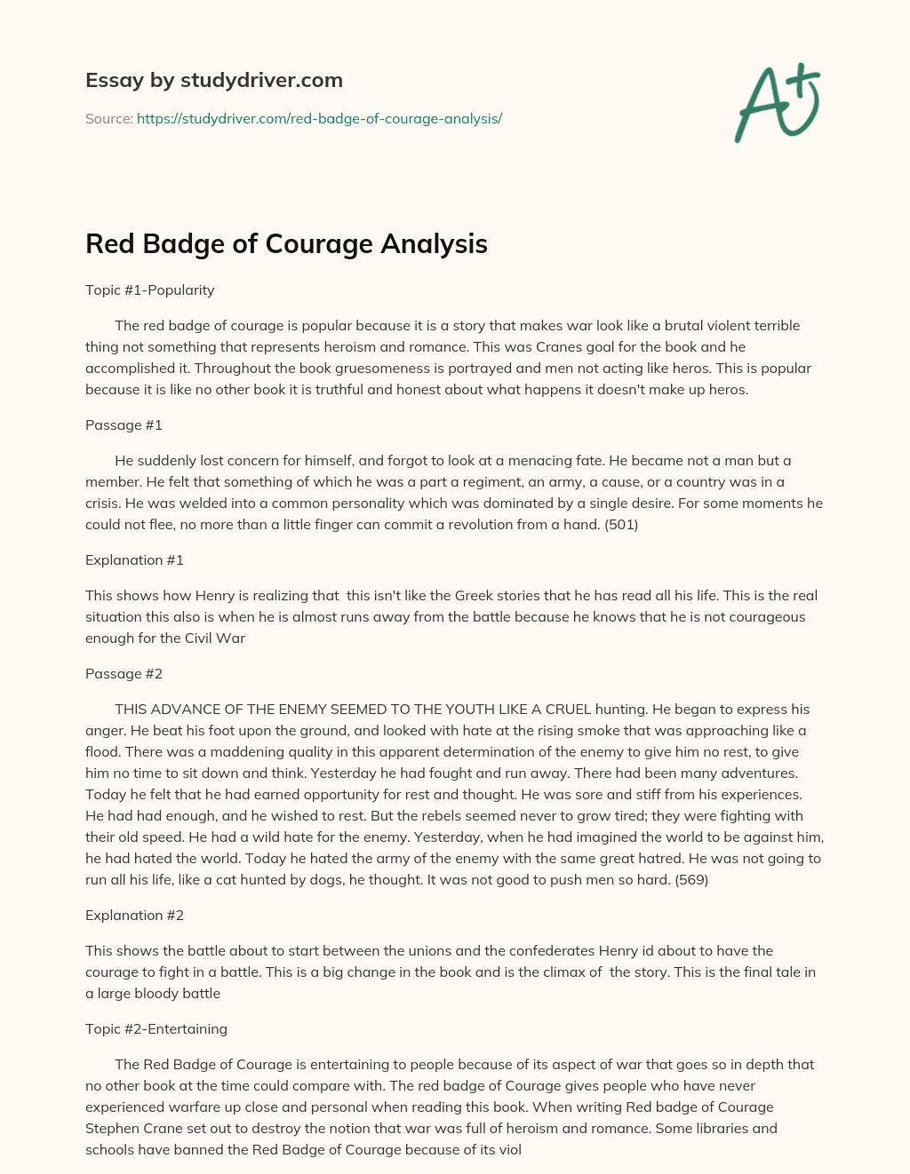 Red Badge of Courage Analysis essay