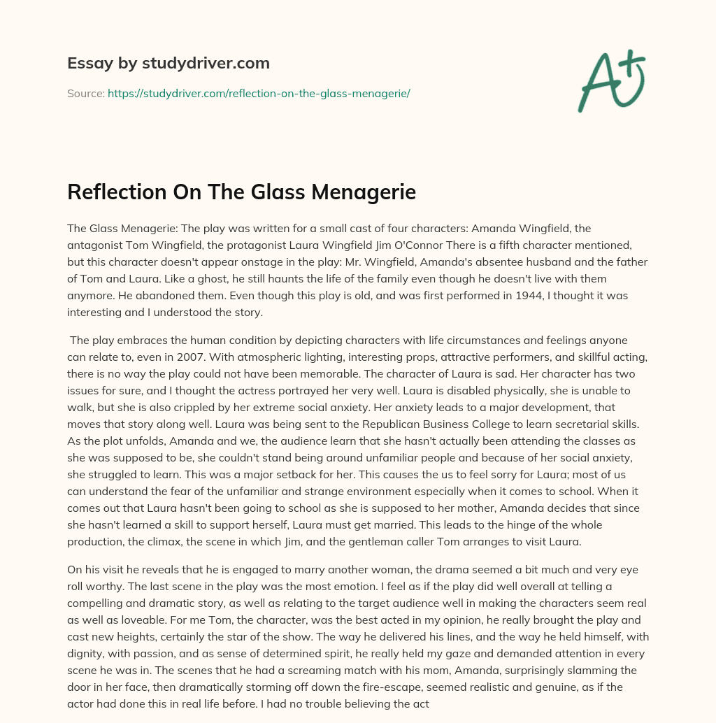 Reflection on the Glass Menagerie essay