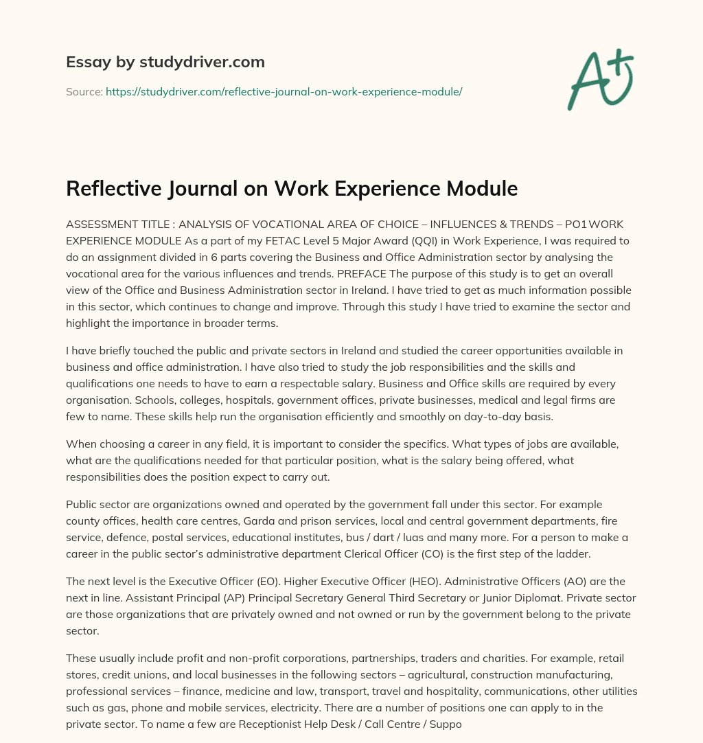 Reflective Journal on Work Experience Module essay