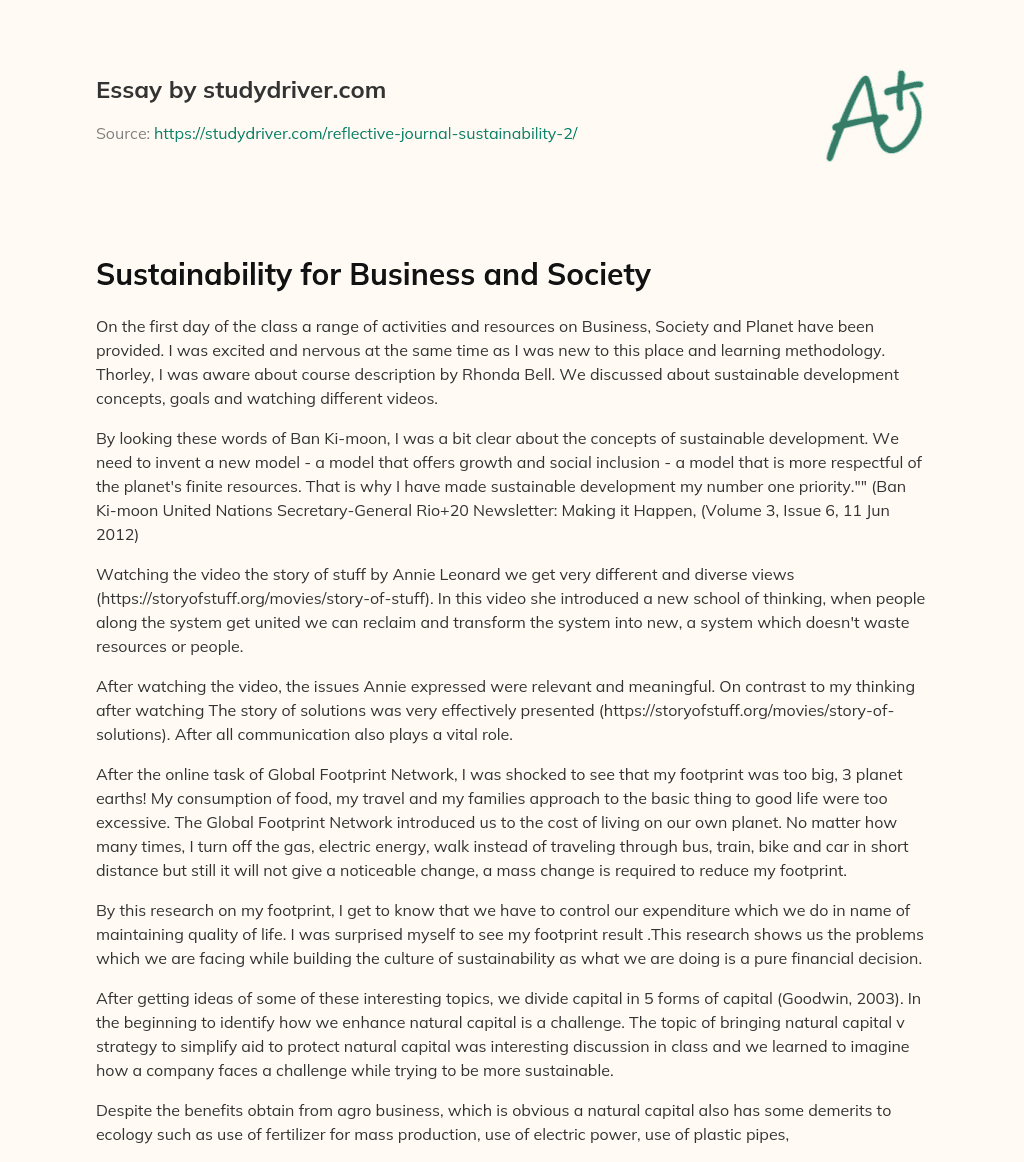 Sustainability for Business and Society essay