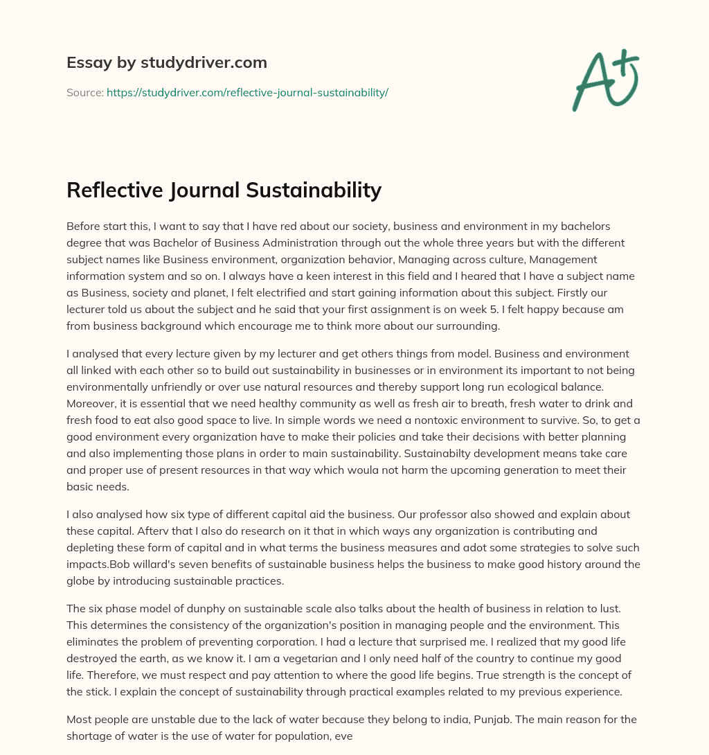 Reflective Journal Sustainability essay