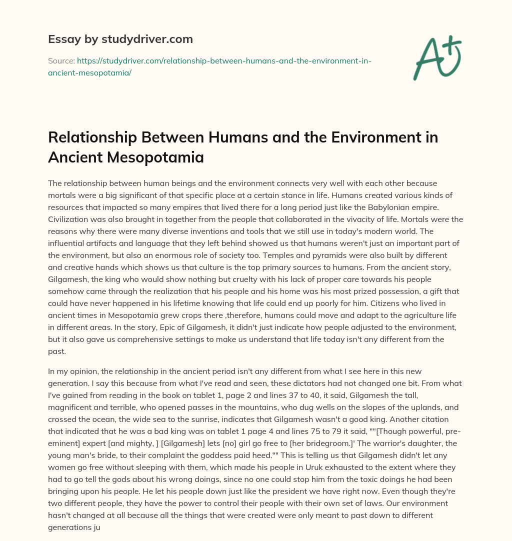 Relationship between Humans and the Environment in Ancient Mesopotamia essay