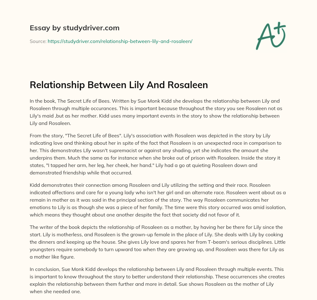 Relationship between Lily and Rosaleen essay