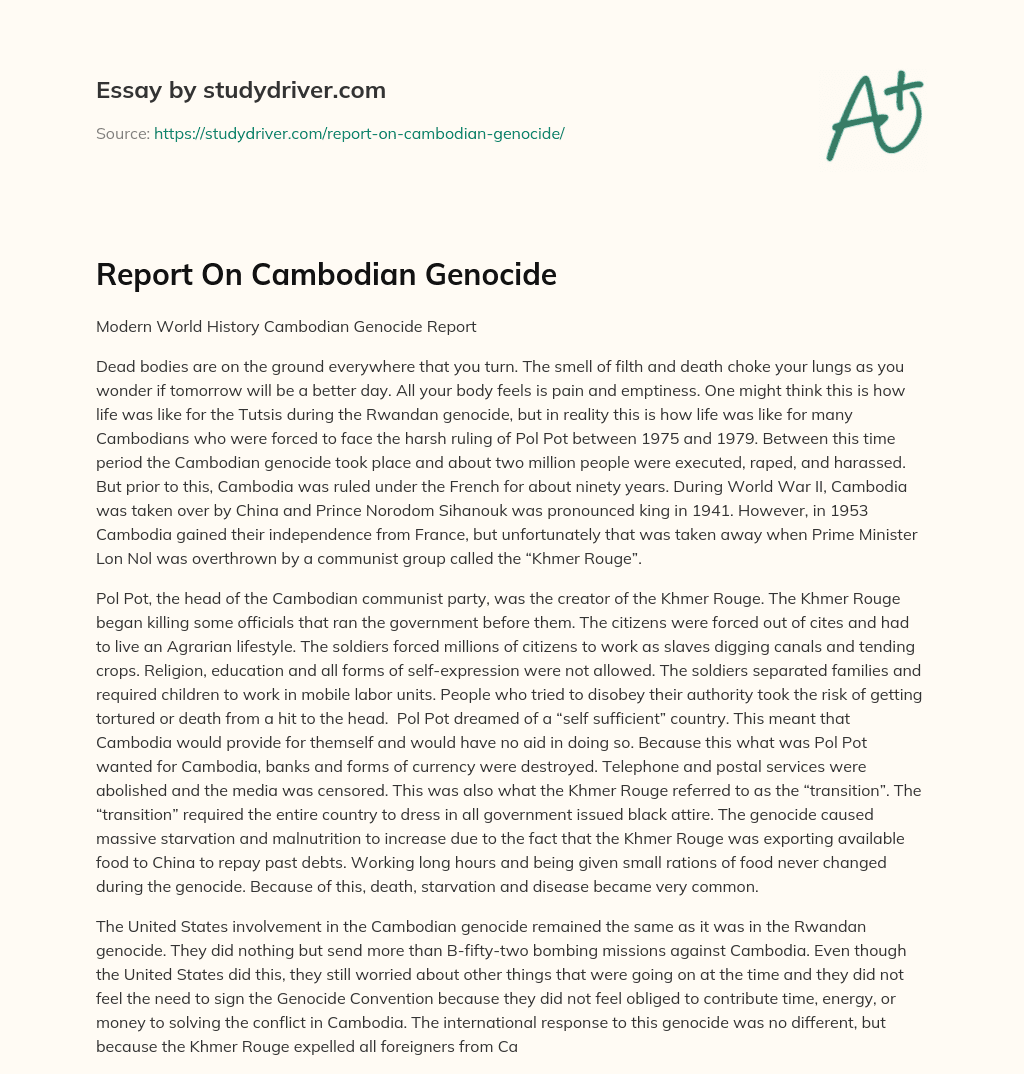Report on Cambodian Genocide essay