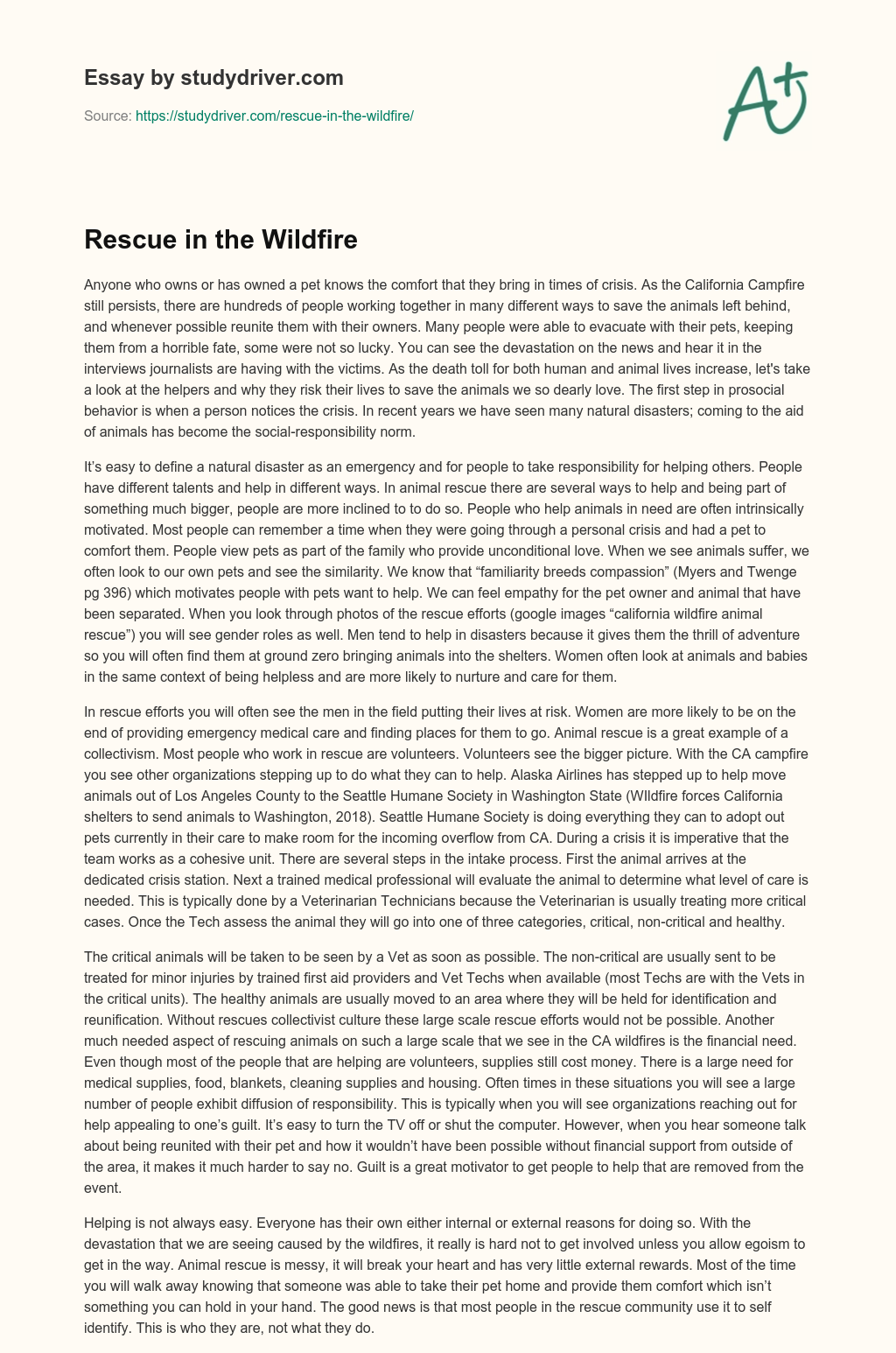 Rescue in the Wildfire essay